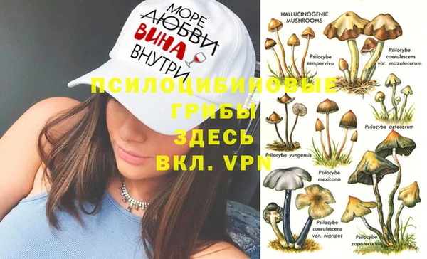 дживик Алзамай